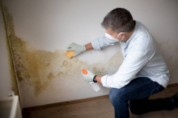 Best Crawl Space Mold Remediation  in Laughlin Af, TX