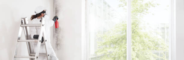 Best Emergency Mold Remediation  in Laughlin Af, TX